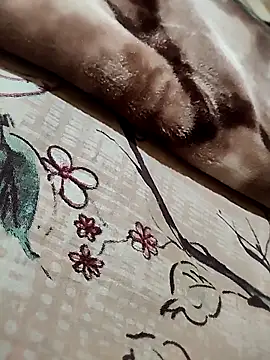 bigboobyrush online show from 04-12-26, 07:30