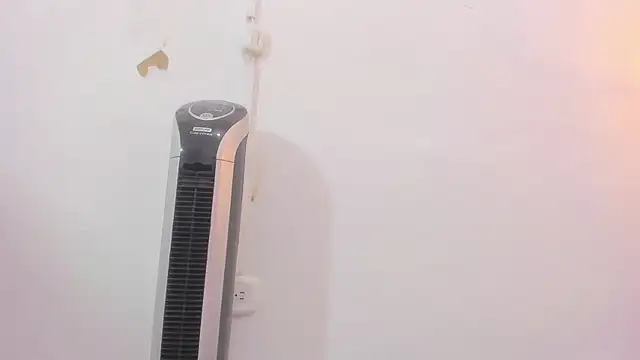 penelope handaos online show from 12-12-24, 05:31