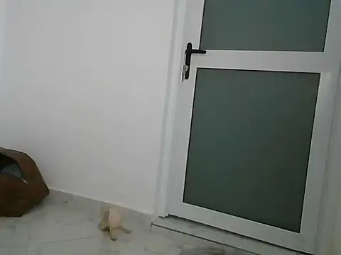 lugari online show from 12-21-24, 10:19