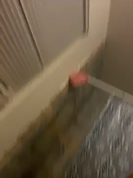 Snapshot of prettlovely14 chatting on 02-20-26, 04:42 prettlovely14 online show from 02-20-26, 04:42