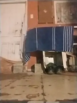 brownfeet online show from 01-18-25, 04:59