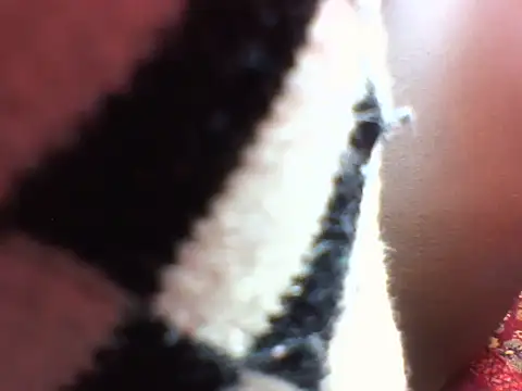 Princess Tamara online show from 11-21-25, 11:36