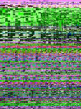 Rose berry online show from 03-16-26, 06:39