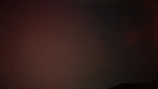 ginger hugs online show from 02-25-25, 04:24