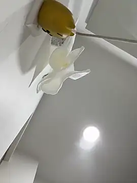 Snapshot of Amber_Rush_ chatting on 09-15-25, 04:29 Amber Rush online show from 09-15-25, 04:29