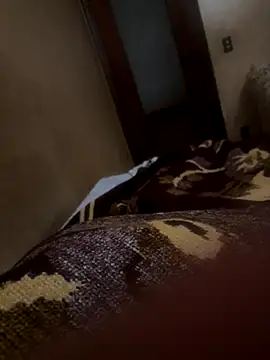 Snapshot of bigboy30X chatting on 10-21-25, 02:51 bigboy30X online show from 10-21-25, 02:51