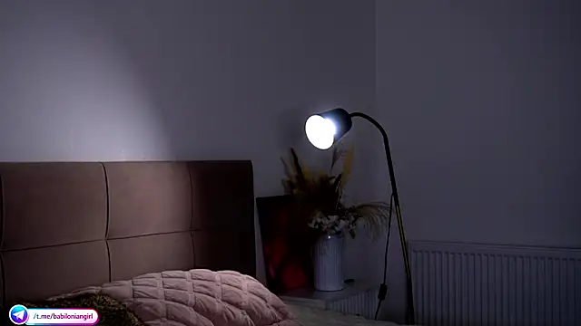 Snapshot of babilonian chatting on 03-17-26, 04:43 babilonian online show from 03-17-26, 04:43