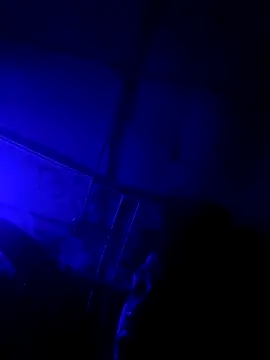 jordontheone1 online show from 11-05-25, 09:48