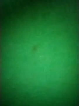 Snapshot of Zane_Natha chatting on 11-10-25, 12:53 Zane Natha online show from 11-10-25, 12:53