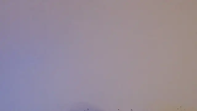 daiki sx online show from 01-24-25, 01:47