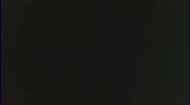 Geisha Seniers online show from 02-15-25, 02:22