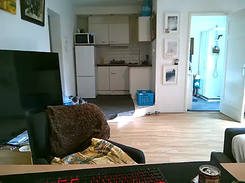 Snapshot of mihaimichael chatting on 05-11-26, 11:49 mihaimichael online show from 05-11-26, 11:49