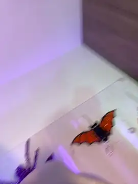 Snapshot of mikuru_hara chatting on 10-05-25, 02:10 mikuru hara online show from 10-05-25, 02:10