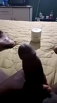 netswera147 online show from 03-23-26, 11:14