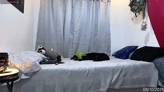 alejo cute online show from 10-06-25, 08:28