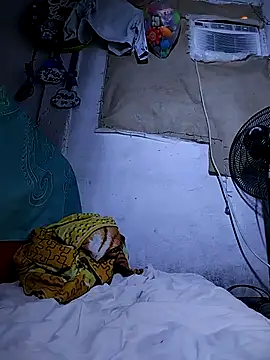 The-quee22 online show from 10-11-25, 11:31