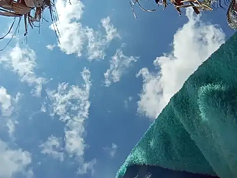 natally ross21 online show from 12-08-24, 03:45