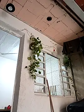 Brasilsexxx online show from 12-18-25, 02:45