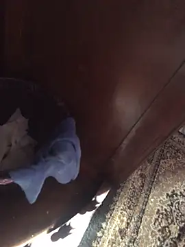 Snapshot of TangoingSorbet chatting on 11-02-25, 10:17 TangoingSorbet online show from 11-02-25, 10:17