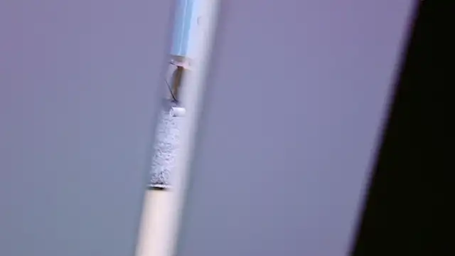 HaruruHappy online show from 01-18-25, 01:29