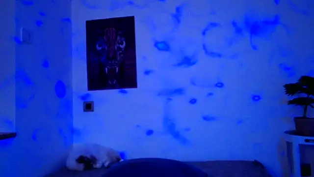 Snapshot of ValeryCrowley14 chatting on 01-15-26, 09:03 ValeryCrowley14 online show from 01-15-26, 09:03