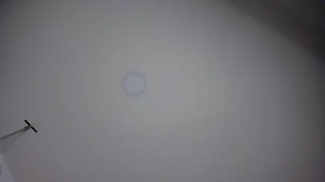 ChloeConnorr online show from 12-28-24, 10:23