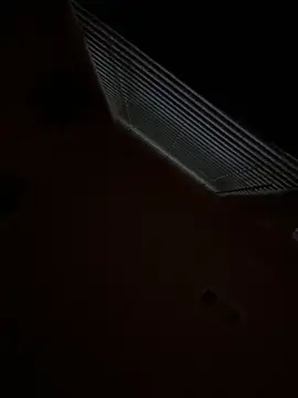 goldbuni online show from 11-29-25, 12:52