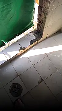 mendelicius online show from 02-15-26, 02:25