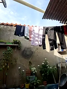 room 24funn online show from 01-10-26, 08:32