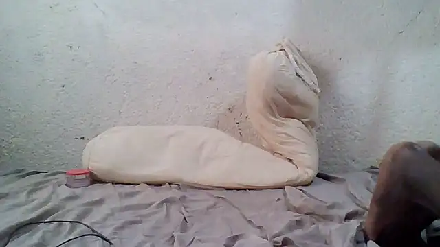 demo2004 online show from 10-17-25, 11:13