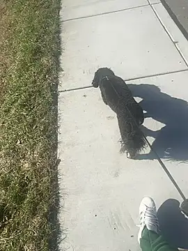 Esauhot online show from 02-24-25, 08:25