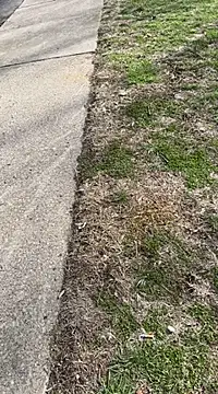 Esauhot online show from 02-25-25, 07:03