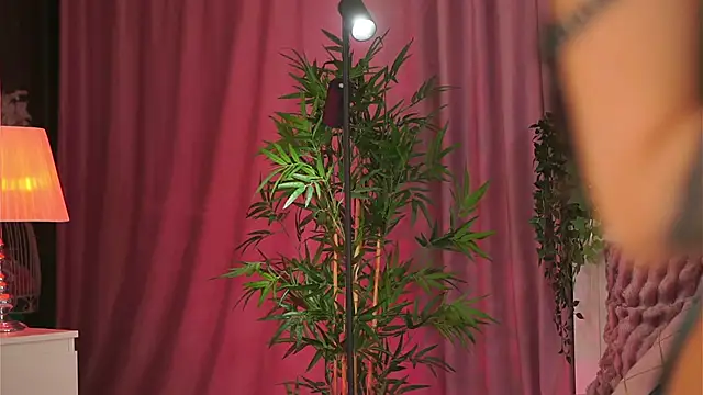 Evelyn Evyyy online show from 02-09-25, 07:19