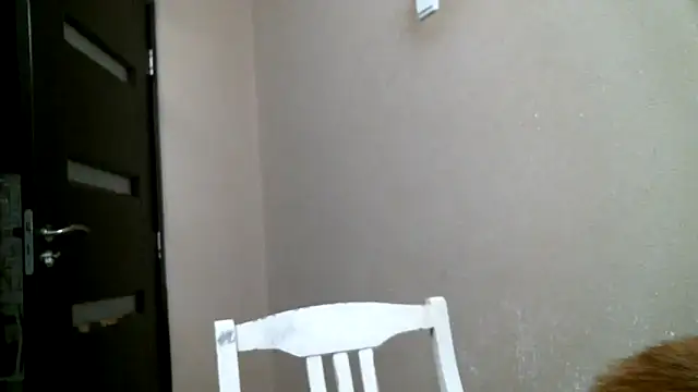 DennisXCaroll online show from 02-18-25, 12:04