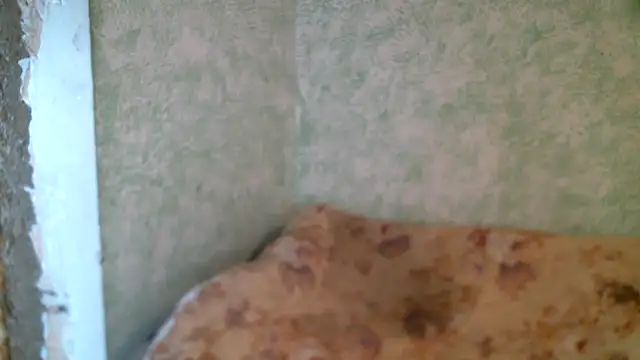 DennisXCaroll online show from 04-23-26, 10:14