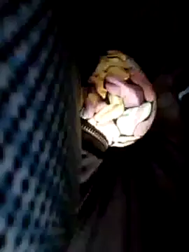 Policeman20742 online show from 02-25-25, 06:09