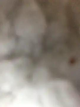 indie-rayne online show from 01-03-25, 09:05