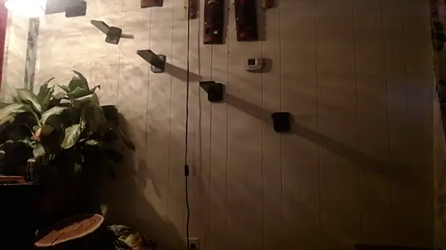 UnCuTupTheBuTT online show from 11-16-25, 09:26