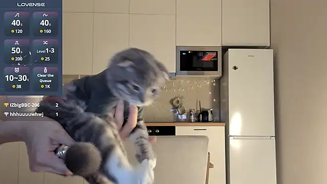 fairy di online show from 12-23-24, 12:46