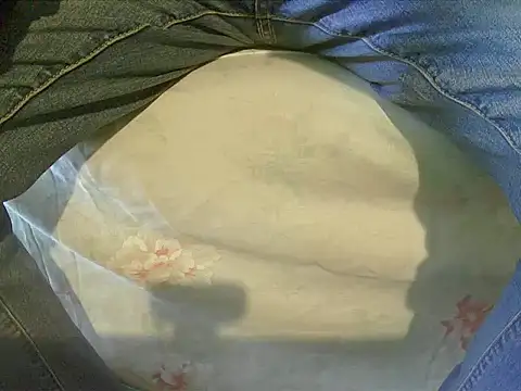 Snapshot of Tiger202441 chatting on 12-17-24, 11:17 Tiger202441 online show from 12-17-24, 11:17