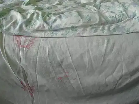 Snapshot of Tiger202441 chatting on 12-18-24, 10:08 Tiger202441 online show from 12-18-24, 10:08