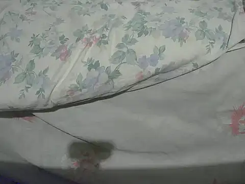 Snapshot of Tiger202441 chatting on 12-20-24, 10:32 Tiger202441 online show from 12-20-24, 10:32