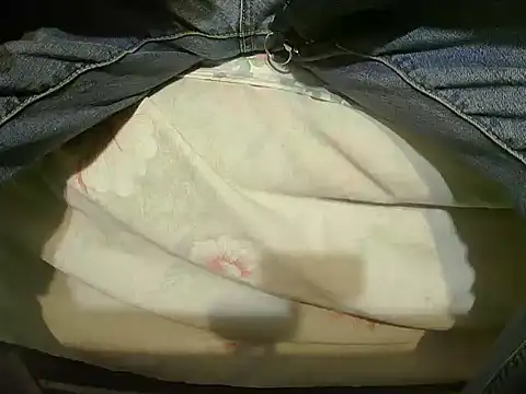 Snapshot of Tiger202441 chatting on 12-23-24, 08:47 Tiger202441 online show from 12-23-24, 08:47