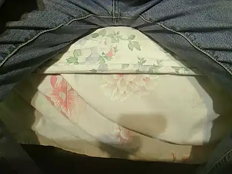 Snapshot of Tiger202441 chatting on 12-25-24, 05:47 Tiger202441 online show from 12-25-24, 05:47