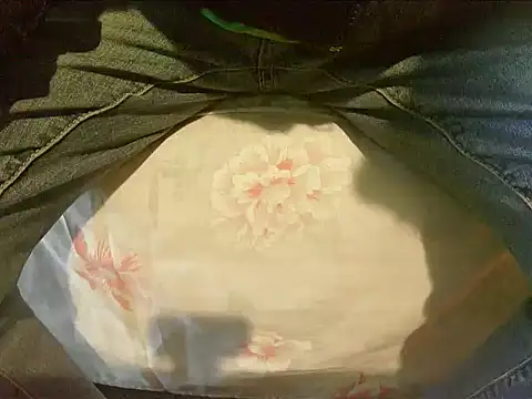 Snapshot of Tiger202441 chatting on 12-30-24, 09:48 Tiger202441 online show from 12-30-24, 09:48