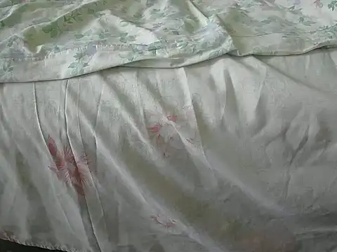 Snapshot of Tiger202441 chatting on 12-31-24, 12:04 Tiger202441 online show from 12-31-24, 12:04