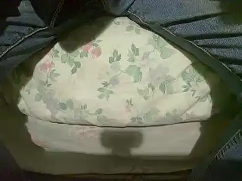 Snapshot of Tiger202441 chatting on 01-12-25, 04:08 Tiger202441 online show from 01-12-25, 04:08