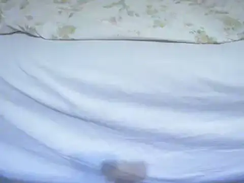 Snapshot of Tiger202441 chatting on 02-12-25, 11:41 Tiger202441 online show from 02-12-25, 11:41