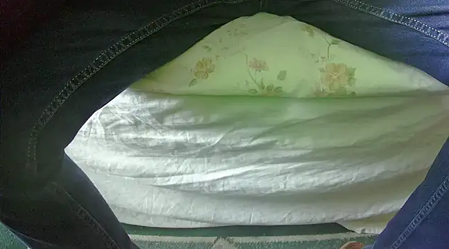 Snapshot of Tiger202441 chatting on 02-27-25, 10:48 Tiger202441 online show from 02-27-25, 10:48