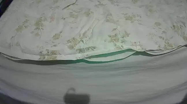 Snapshot of Tiger202441 chatting on 03-04-25, 09:32 Tiger202441 online show from 03-04-25, 09:32